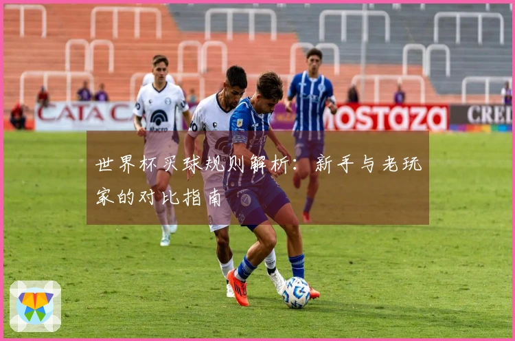 世界杯买球规则解析：新手与老玩家的对比指南
