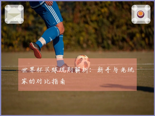 世界杯买球规则解析：新手与老玩家的对比指南