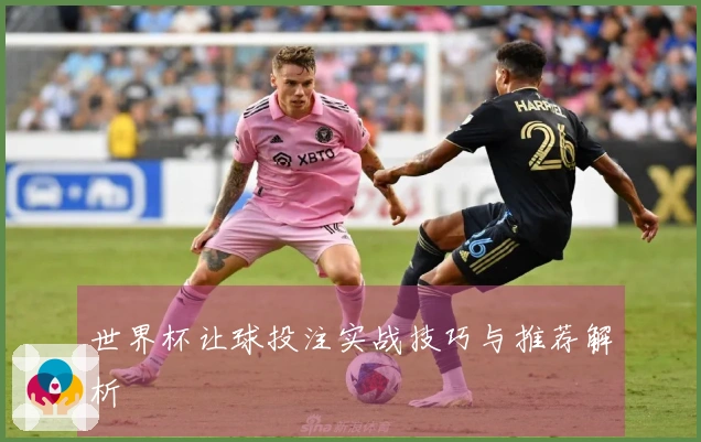 世界杯让球投注实战技巧与推荐解析