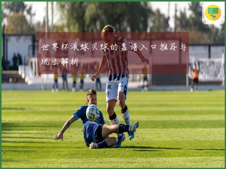 世界杯滚球买球的靠谱入口推荐与玩法解析