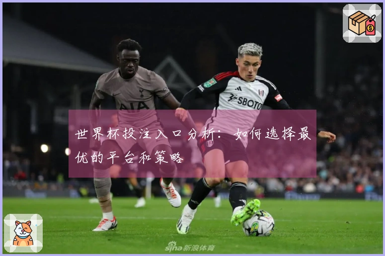 世界杯投注入口分析：如何选择最优的平台和策略