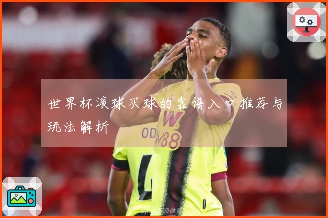 世界杯滚球买球的靠谱入口推荐与玩法解析