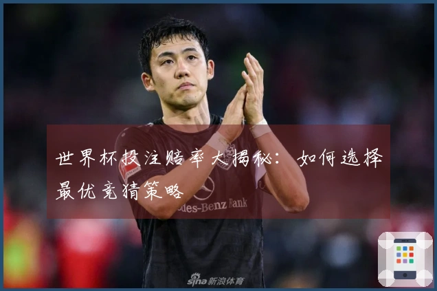 世界杯投注赔率大揭秘：如何选择最优竞猜策略