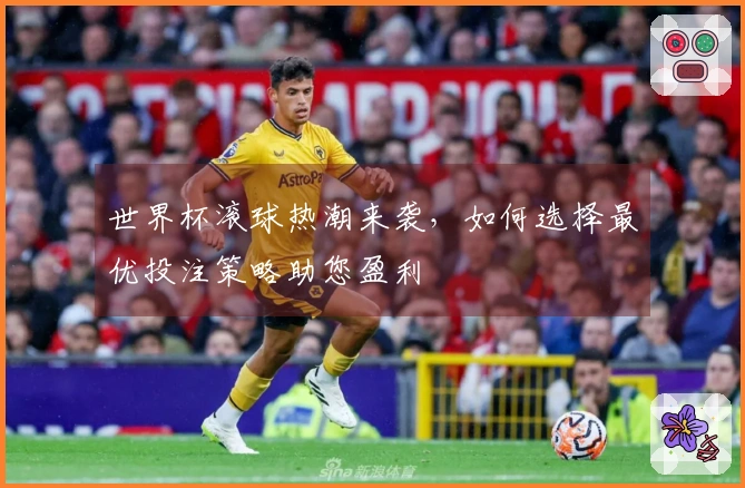 世界杯滚球热潮来袭，如何选择最优投注策略助您盈利