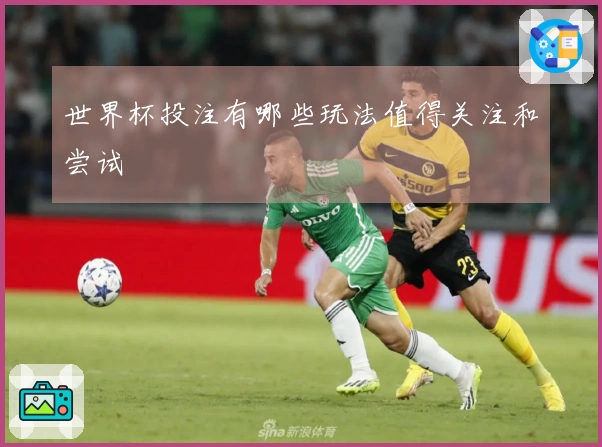 世界杯投注有哪些玩法值得关注和尝试