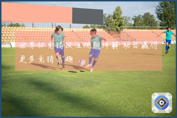 世界杯竞猜投注规则详解 助你赢得更多竞猜乐趣